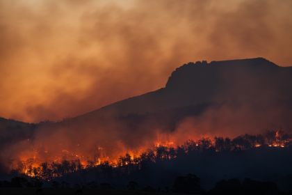 Dichiarazione stato di grave pericolosità per incendi boschi