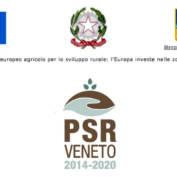 Banner PSR Veneto.png.2023-05-02-13-16-48