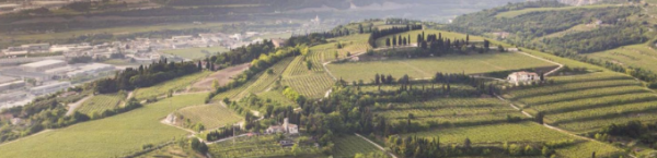 Sant'Ambrogio